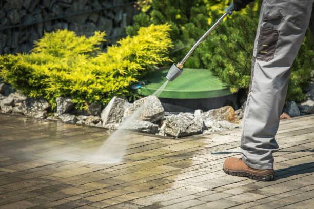 Best Winterizing Services  in Dalhart, TX