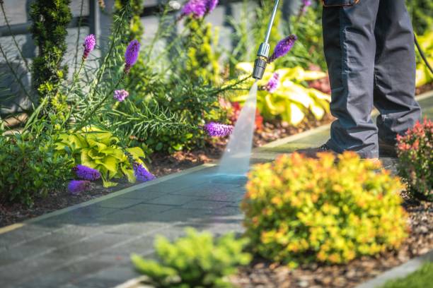 Best Animal Enclosure Cleaning  in Dalhart, TX
