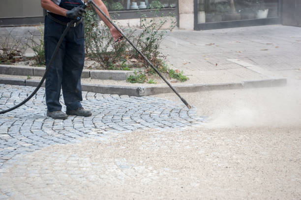 Animal Enclosure Cleaning in Dalhart, TX