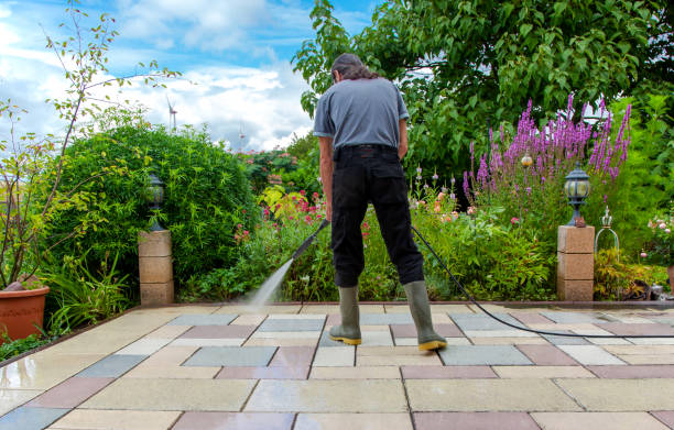 Best Sidewalk and Walkway Cleaning  in Dalhart, TX